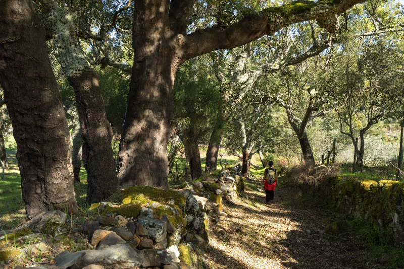Hiking Through History: Trails and Monuments in Gerês National Park